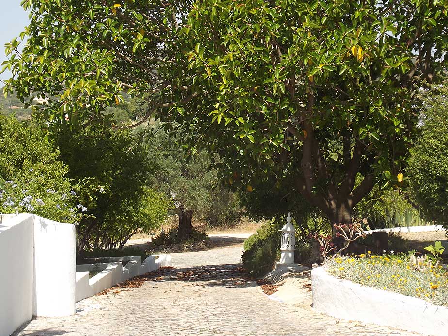 YOGA HOLIDAY IN PORTUGAL