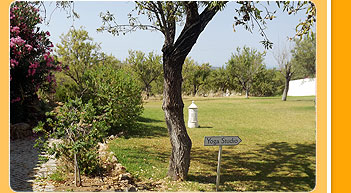 Yoga Retreat Portugal