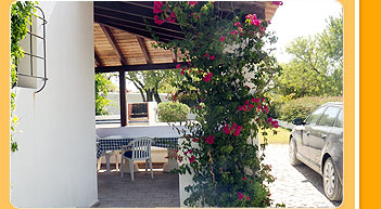 Yoga Holiday Retreat 