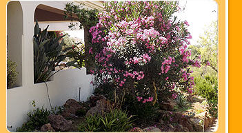 Yoga Holidays Portugal