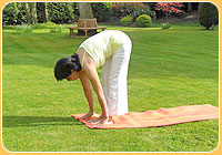 Yoga Posture - Uttanasana
