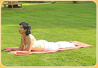Bhujangasana