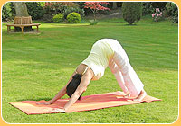 Adho Mukha Svanasana