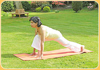 Ashwa Sanchalanasana